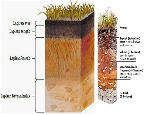 Beda Warna dan Tekstur